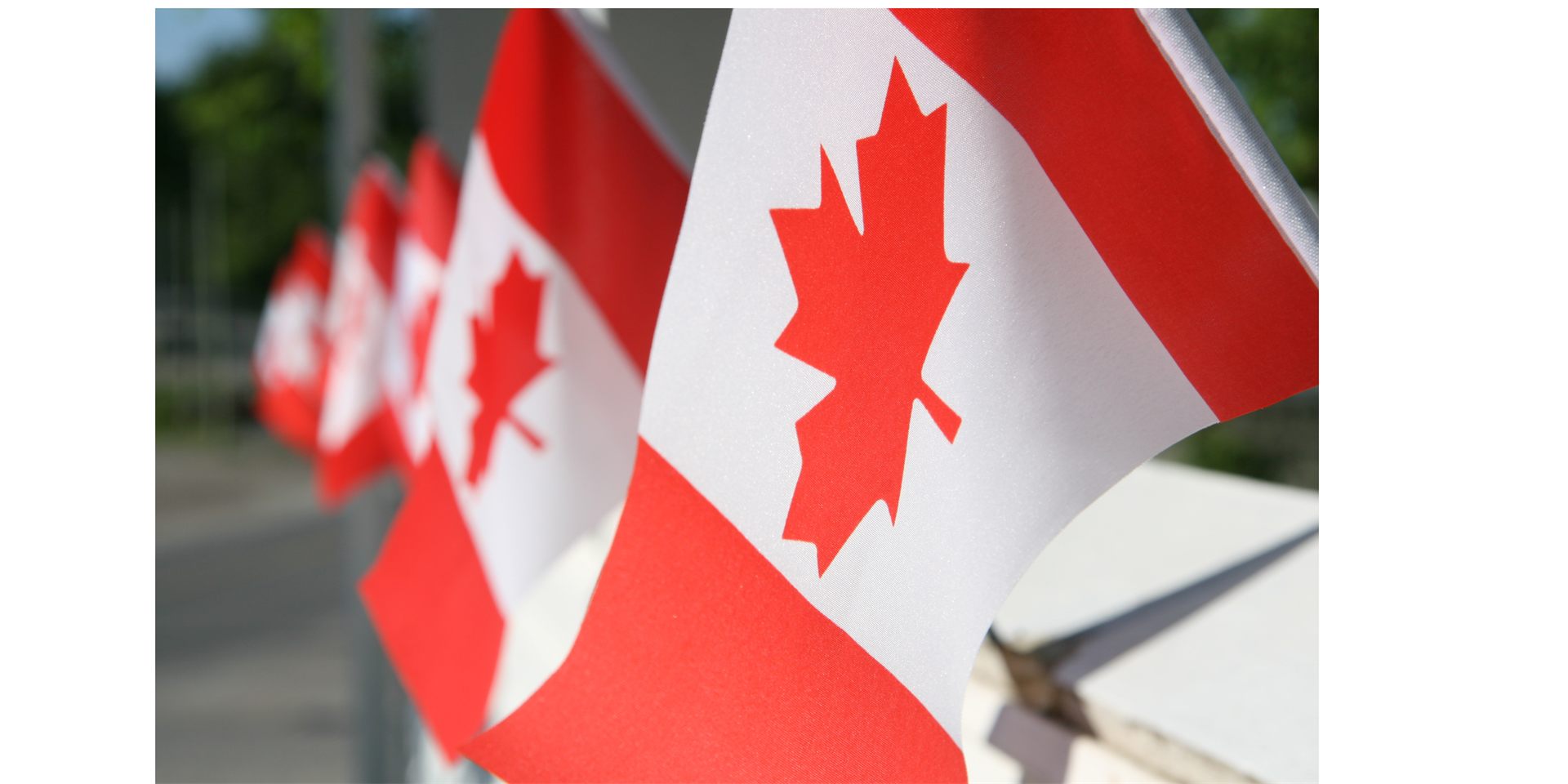 C&G Professional Services — Canada